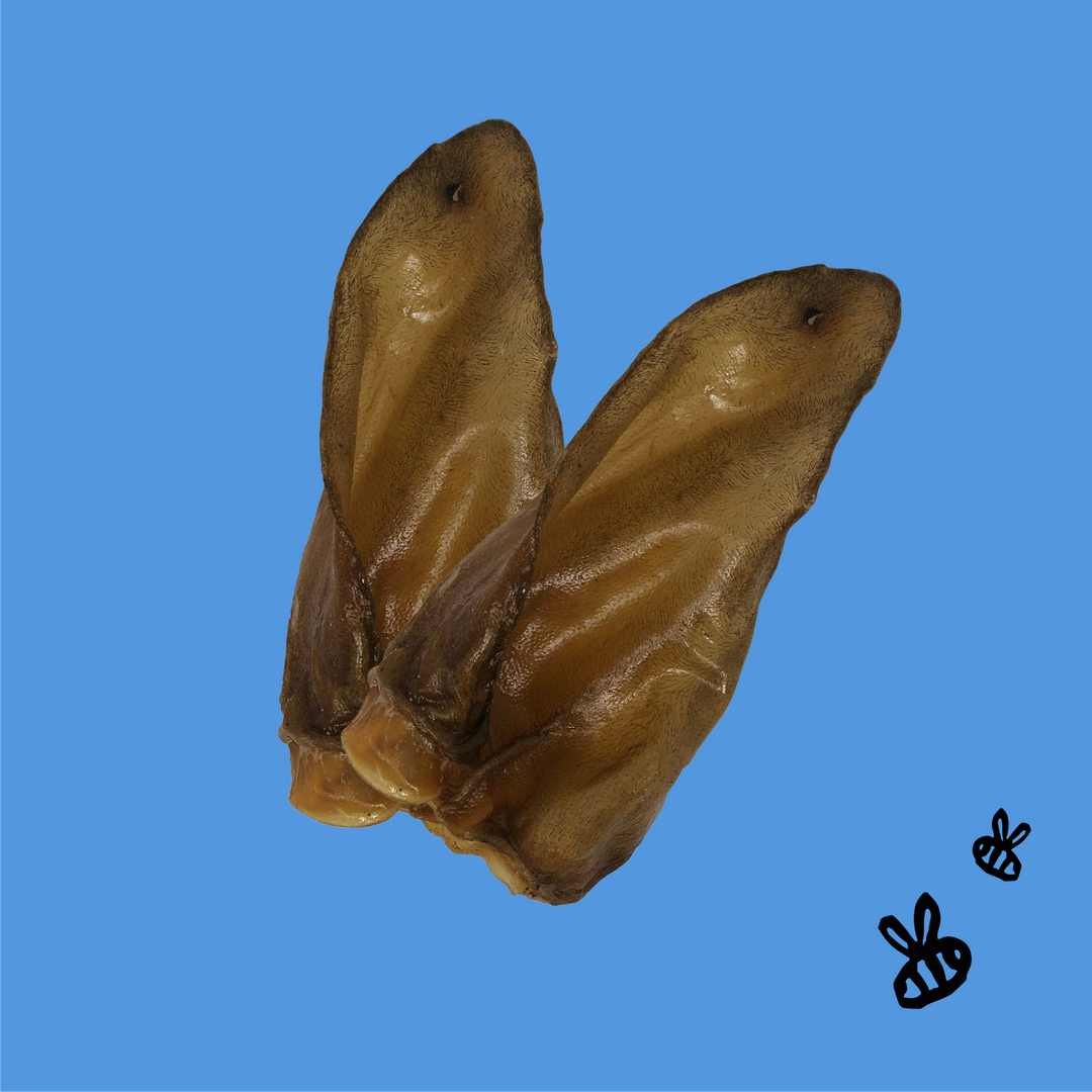 Honey I'm Home - 4 PACK CRUNCHY EARS