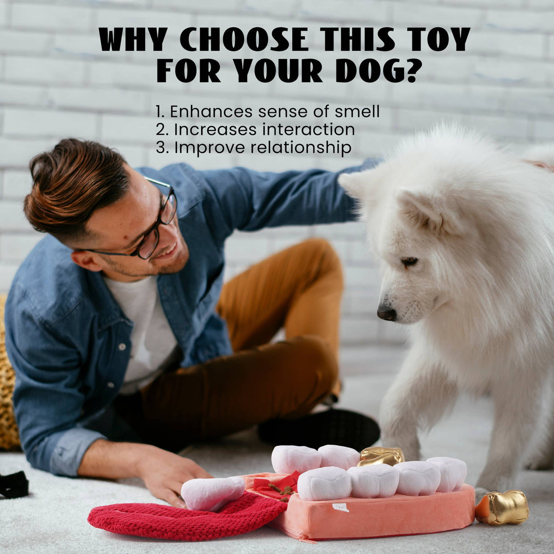 Nocciola - Nocciola Interactive Teeth Dog Toys – Enrichment Puzzle Funny Toys for Small to Large Dogs