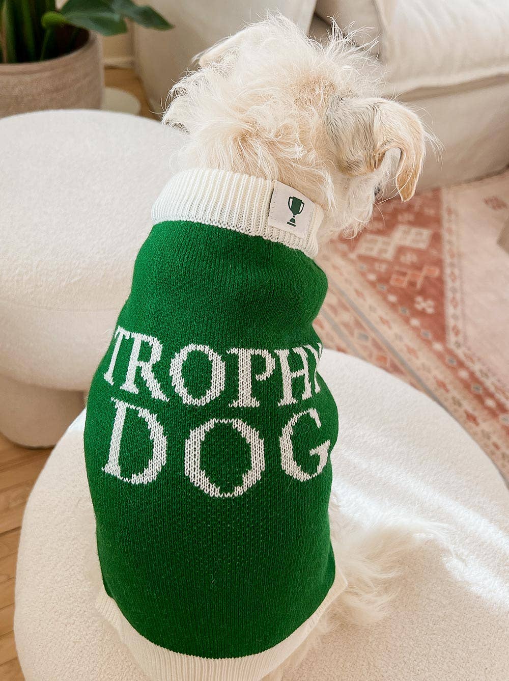 Good Thomas - Trophy Dog Sweater: Dog / L (29-40lb dog)