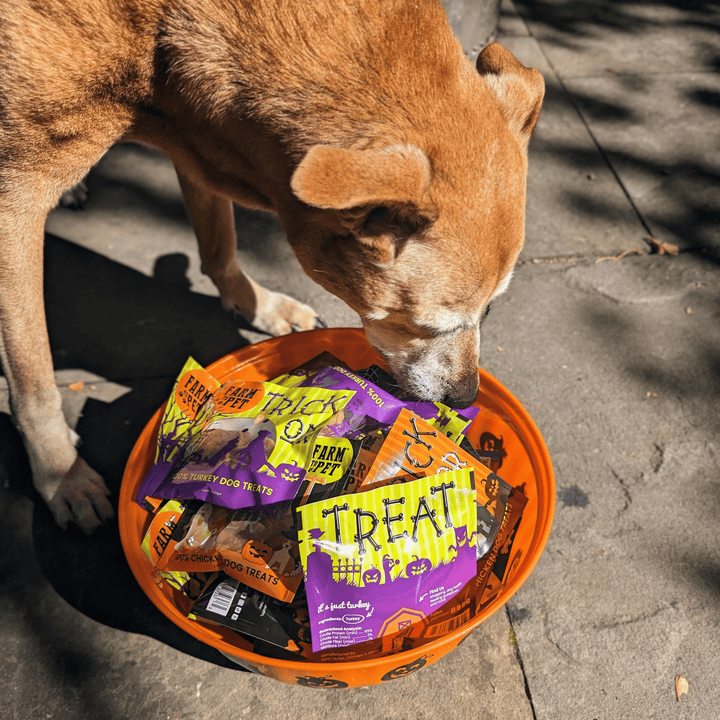 Farm to Pet - Halloween Snack Pack Dog Treat Bundle