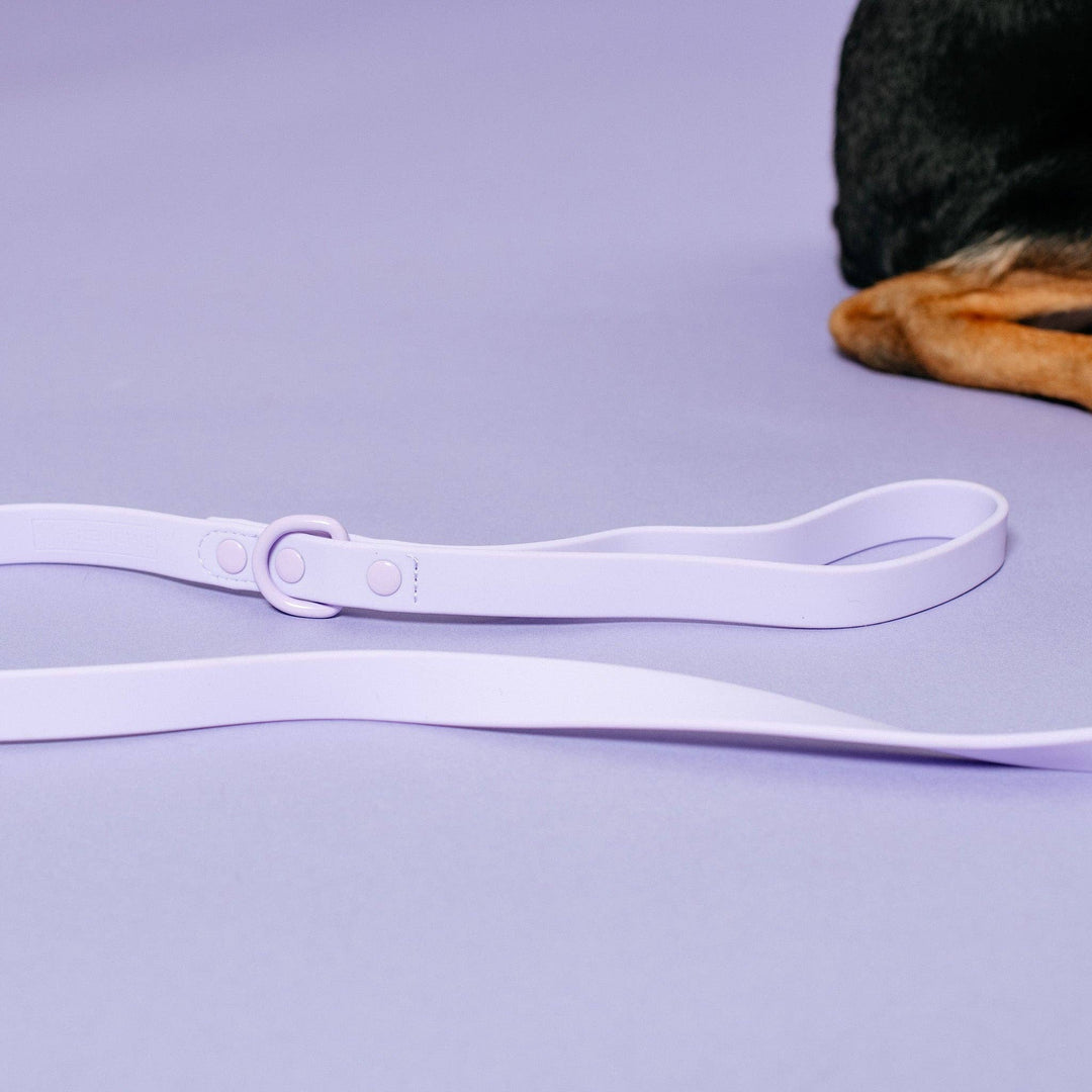 Frenchie - Frenchie Waterproof Leash - Violet: OS