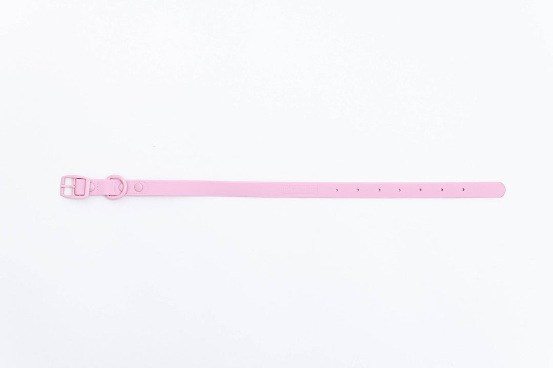 Frenchie - Frenchie Waterproof Collar - Pink Bubble Gum: M