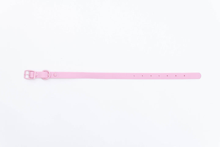 Frenchie - Frenchie Waterproof Collar - Pink Bubble Gum: M