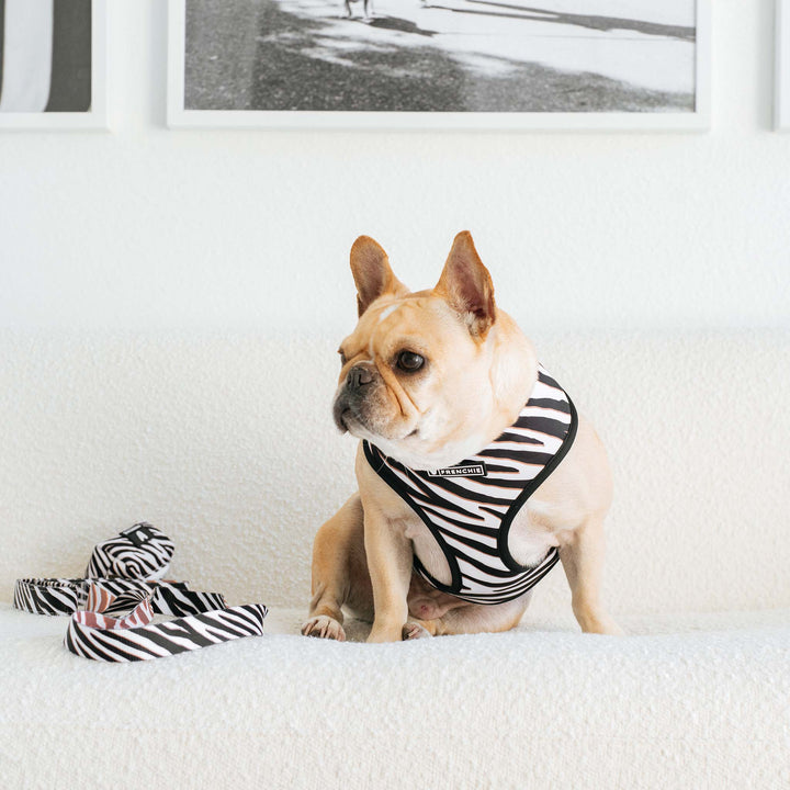 Frenchie - Frenchie Duo Reversible Harness - Zebra: Xsmall