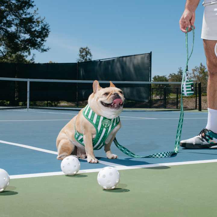 Frenchie - Frenchie Duo Reversible Harness - Pickleball: S