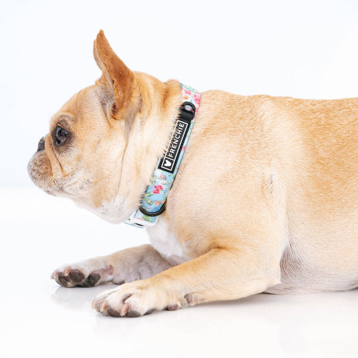 Frenchie - Frenchie Comfort Collar - Secret Garden: OS