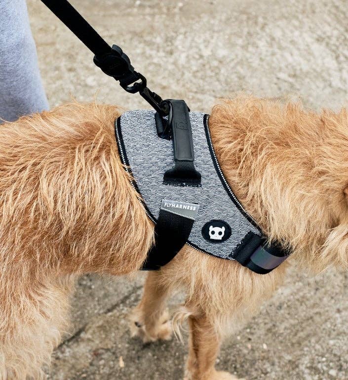 Zee.Dog - Urban | FlyHarness: Size 5