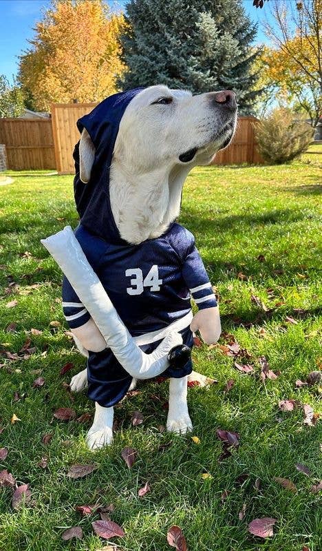 Show & Tail - Pet Apparel - The Stanley Pup: M