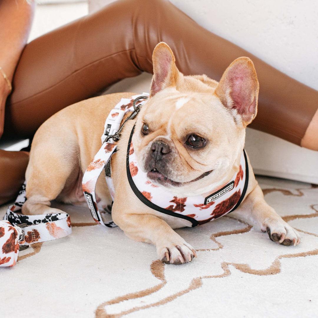 Frenchie - Frenchie Duo Reversible Harness - Moo: M