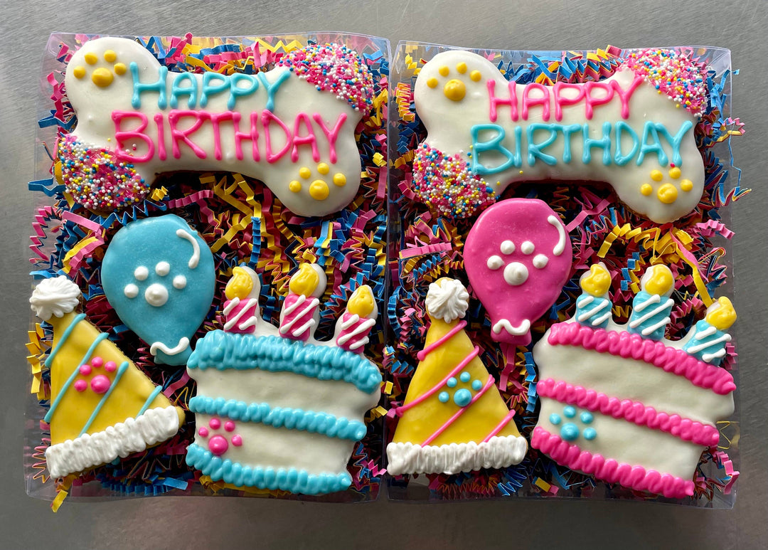 YumYum4DOGS - Happy Fiesta PAWTY Dog Treat (GIFT BOX): Happy birthday