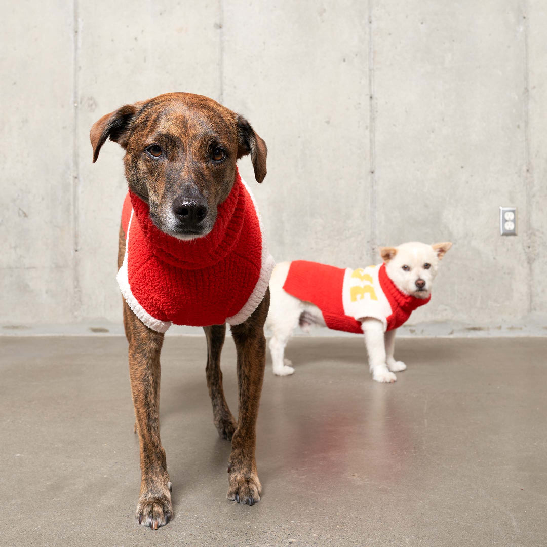 the furryfolks - Love Sweater: L