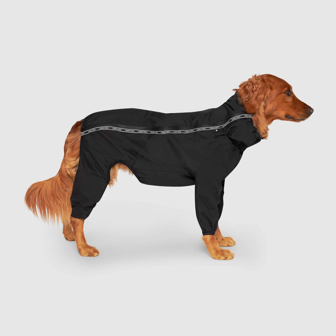 Canada Pooch - The Slush Suit: 18 / Black