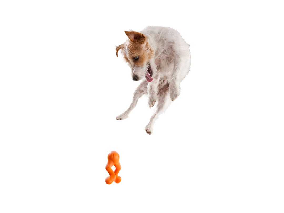 West Paw - Tizzi® Puzzle Treat-Dispensing Dog Enrichment Toy: S / Aqua Blue
