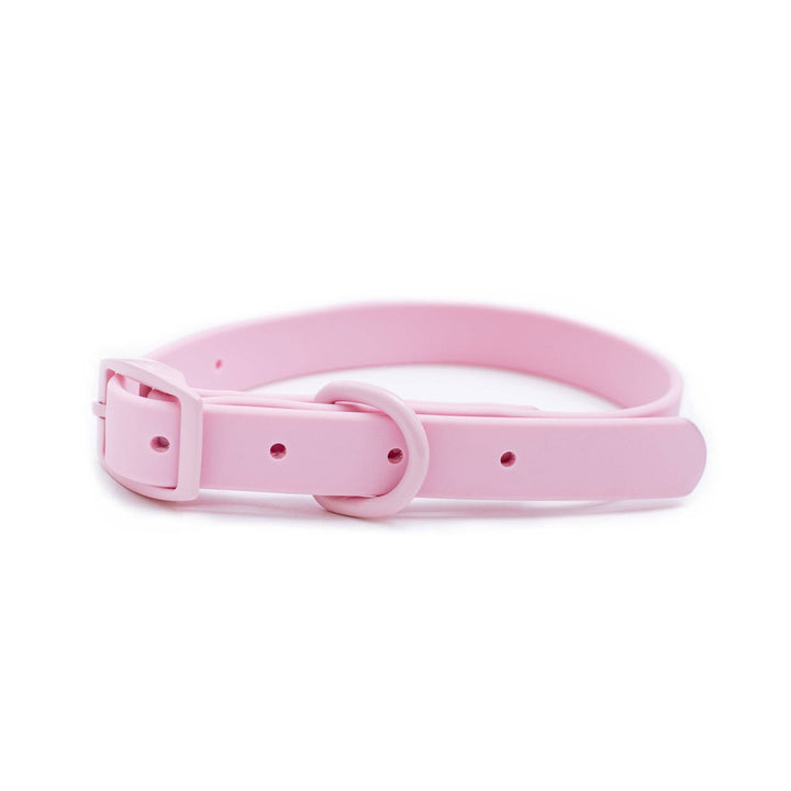 Frenchie - Frenchie Waterproof Collar - Pink Bubble Gum: L