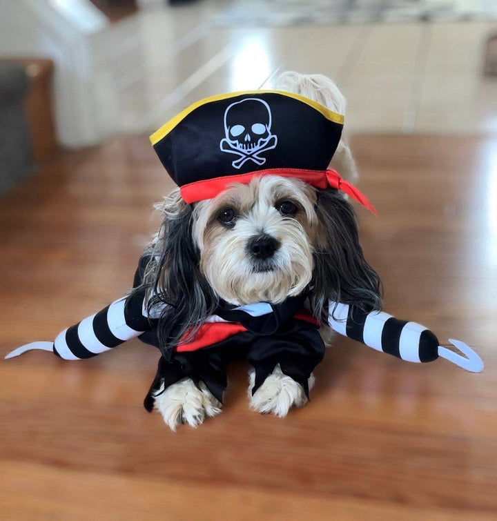 Show & Tail - Pet Apparel - Black Paw-Irate: L