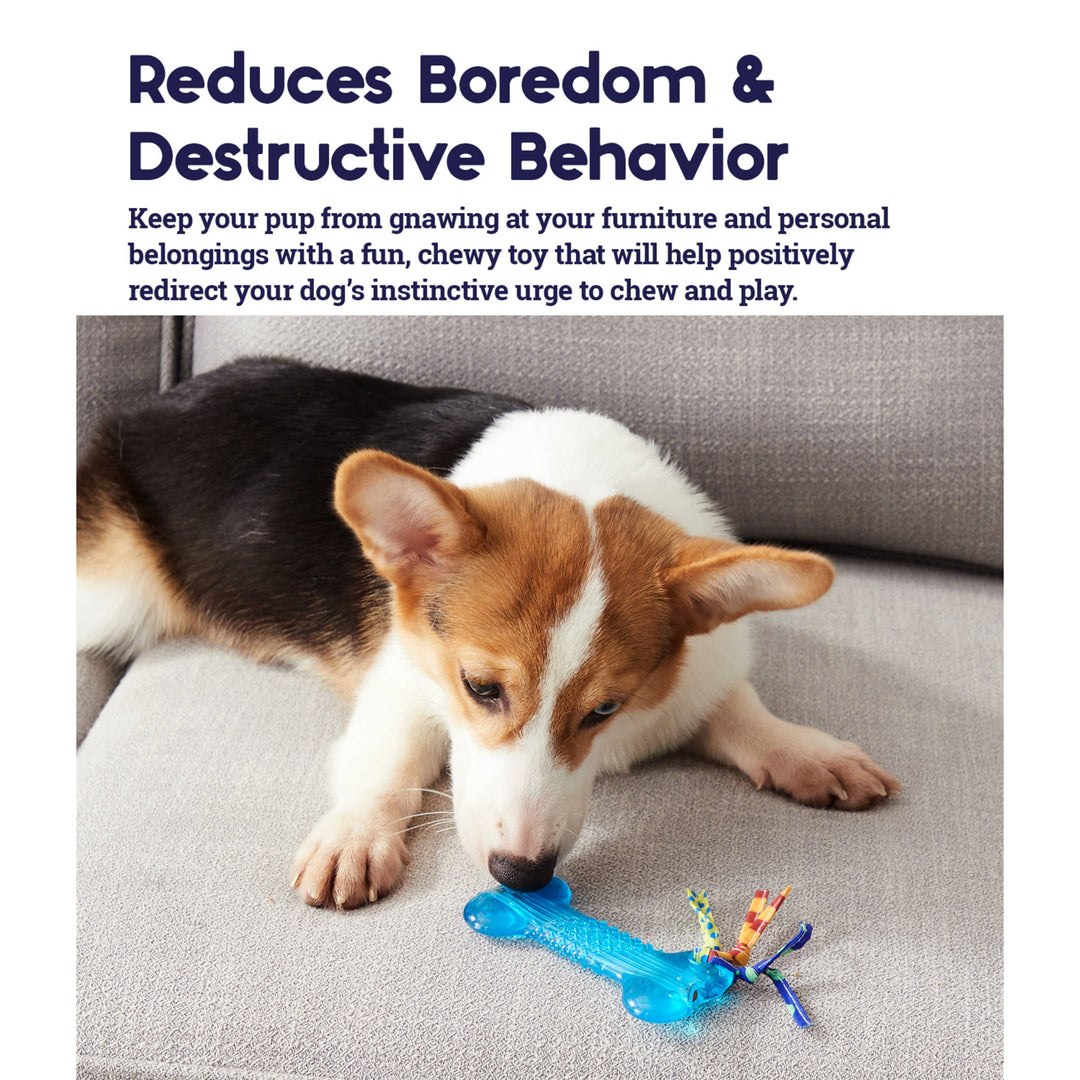 Pet Palette Distribution - Petstages Orka Mini Bone Royal Blue Dog Chew Toy