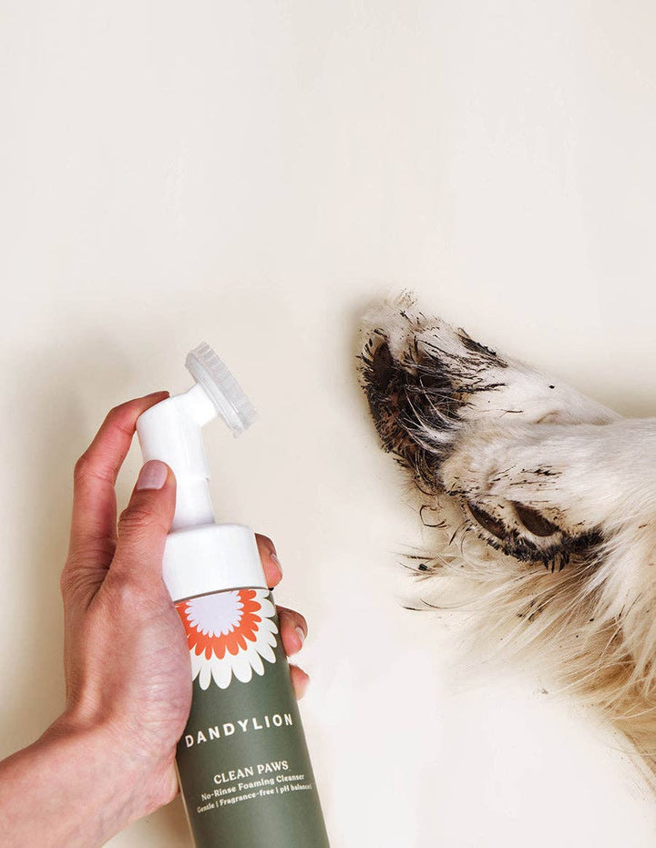 Dandylion - Clean Paws No-Rinse Foaming Cleanser