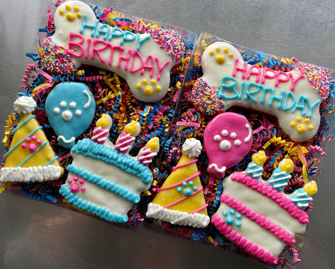YumYum4DOGS - Happy Fiesta PAWTY Dog Treat (GIFT BOX): Happy birthday