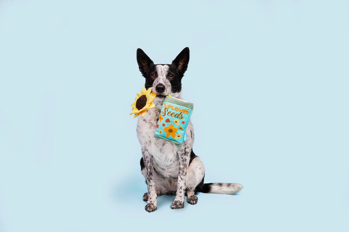 Pet Palette Distribution - BARK Funflower Seeds