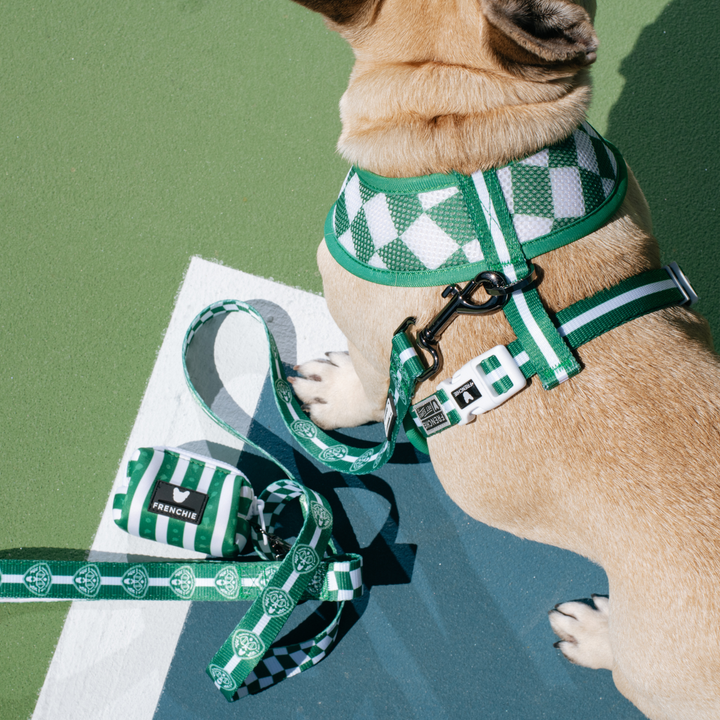 Frenchie - Frenchie Duo Reversible Harness - Pickleball: S