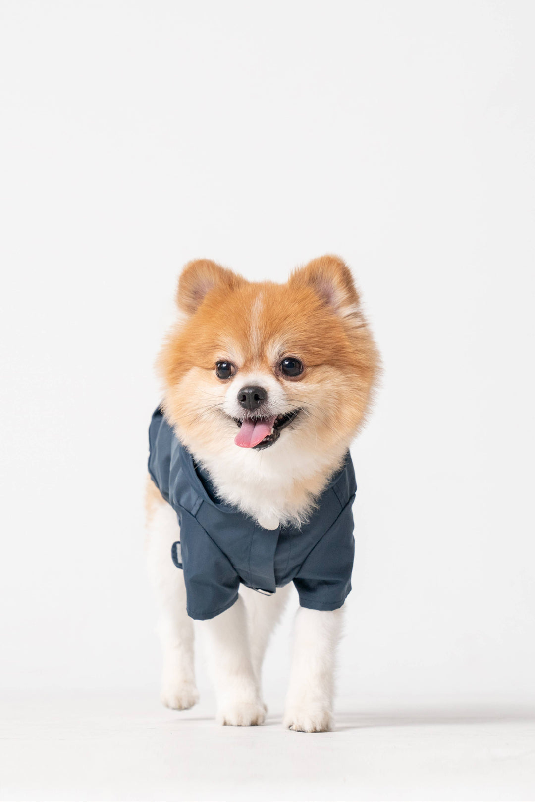 PEHOM - Raincoat - Blue: XS
