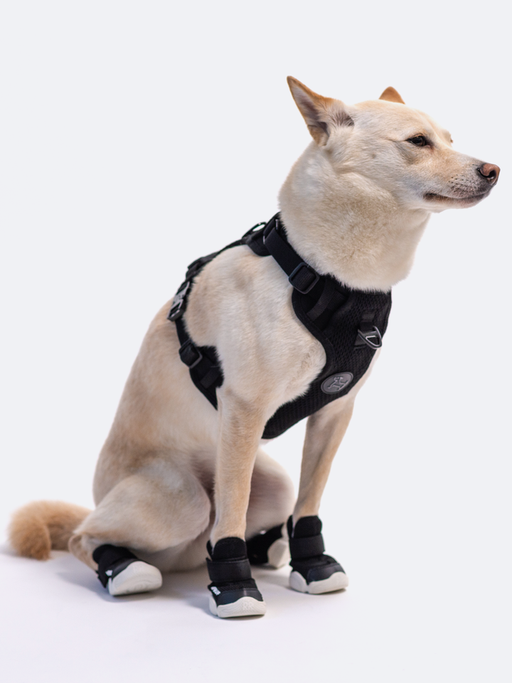 RIFRUF - Commuter Harness: Black / XS