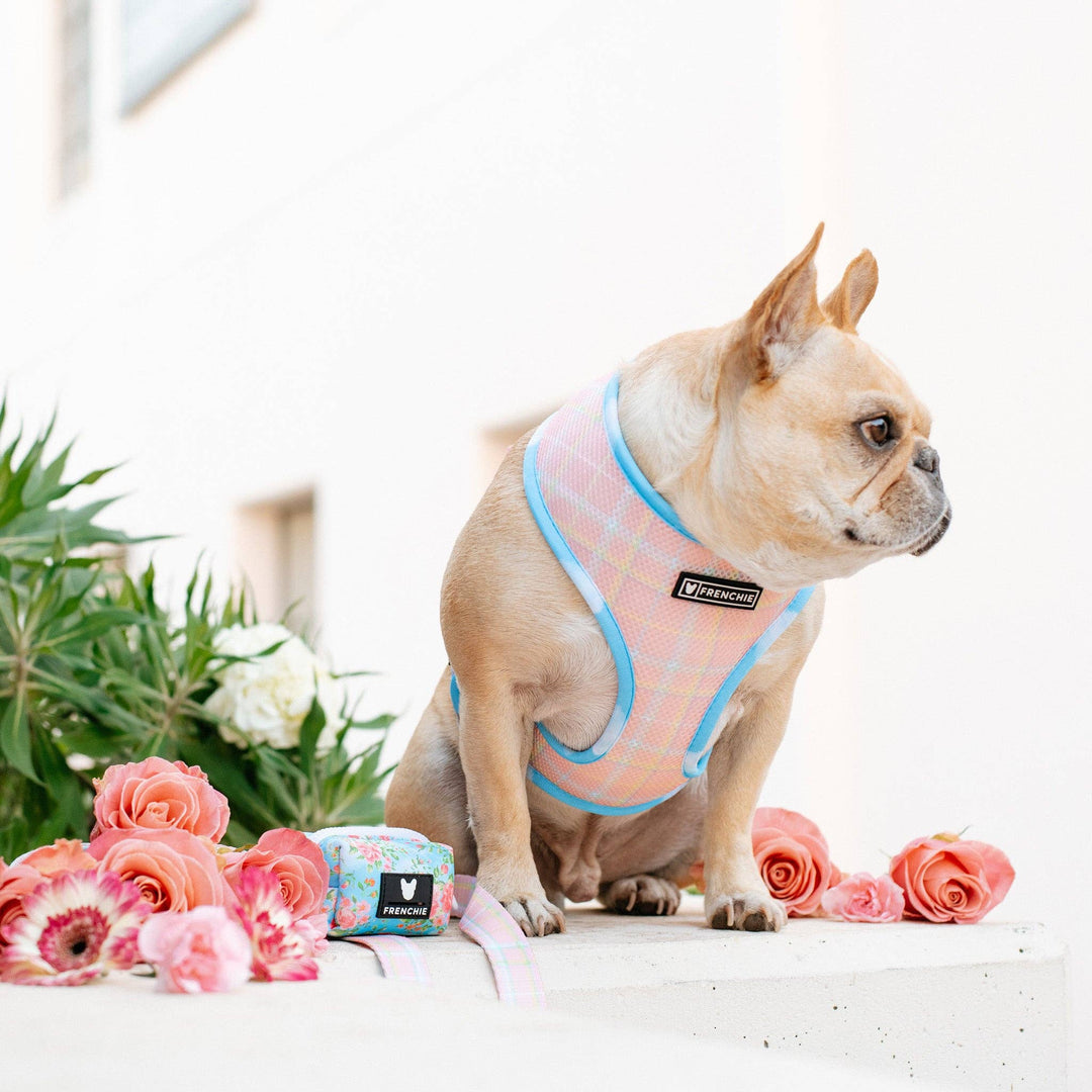 Frenchie - Frenchie Duo Reversible Harness - Secret Garden: XS