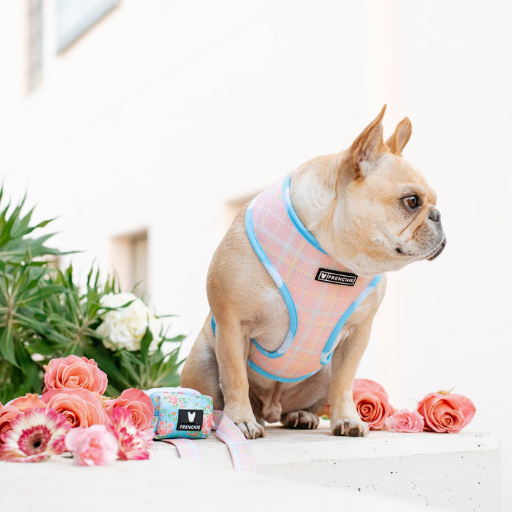 Frenchie - Frenchie Duo Reversible Harness - Secret Garden: M
