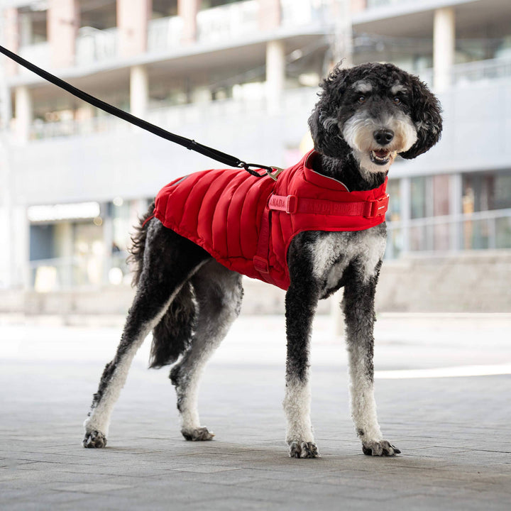 Canada Pooch - Harness Puffer Red
