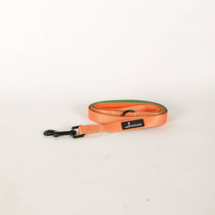 Cavology - DOG LEASH DOUBLE SIDED TWO TONED VINYL FALL ORANGE GREEN
