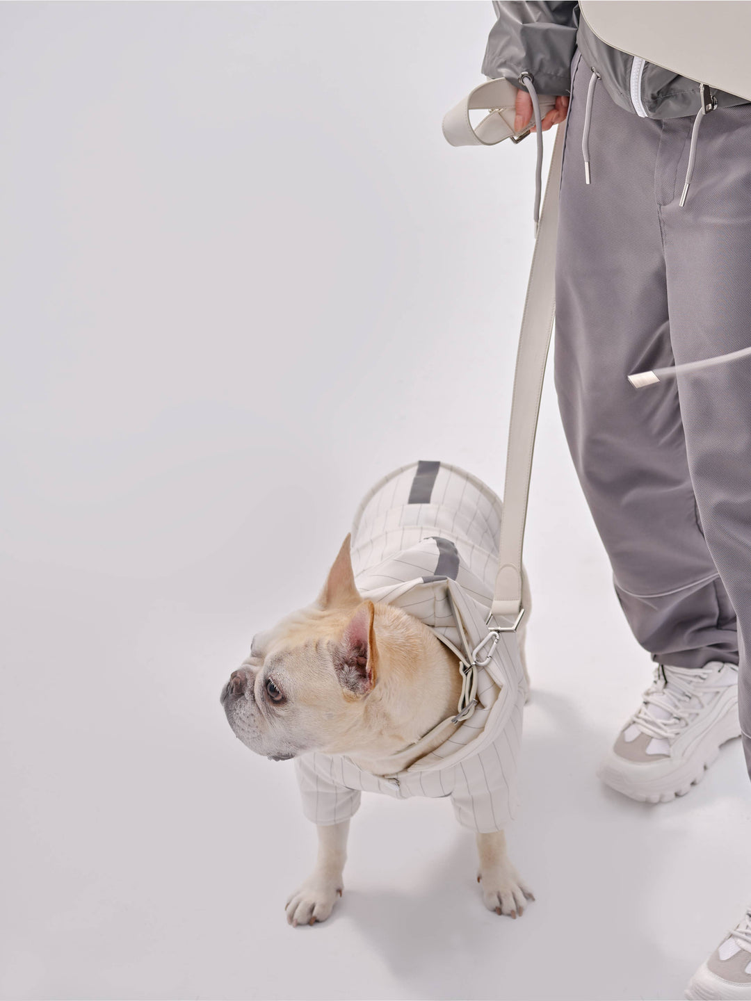 PEHOM - Pet Pehomie Reflective X Hoodie: S
