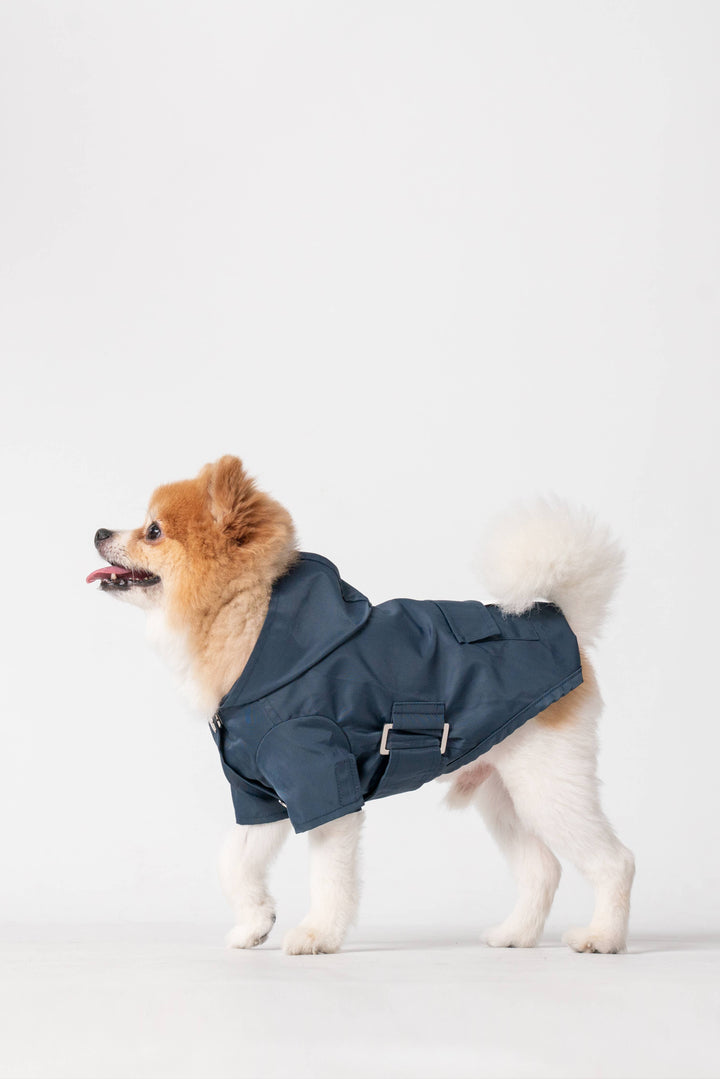 PEHOM - Raincoat - Blue: XS