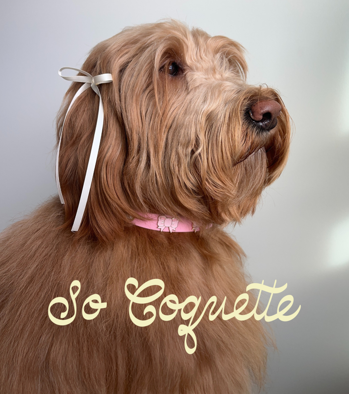 Furei Pets - So Coquette Collar: L / Tulip