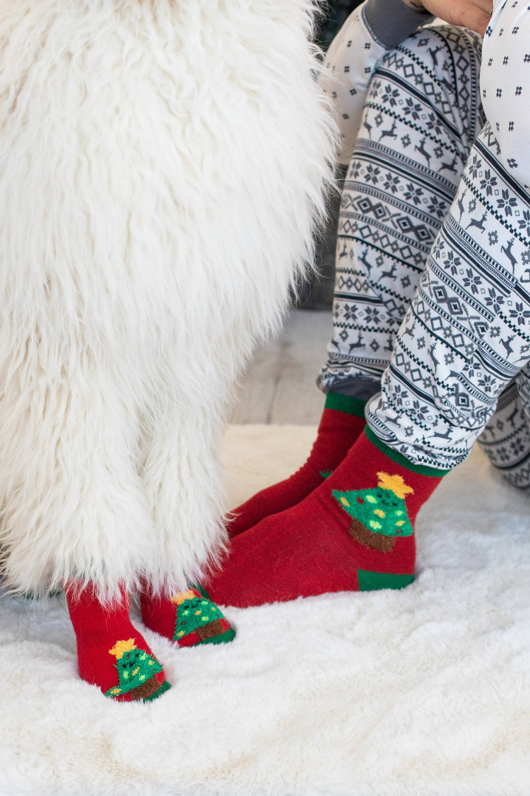 Pet Palette Distribution - Pearhead Holiday Tree Human and Dog Sock Set 2pc