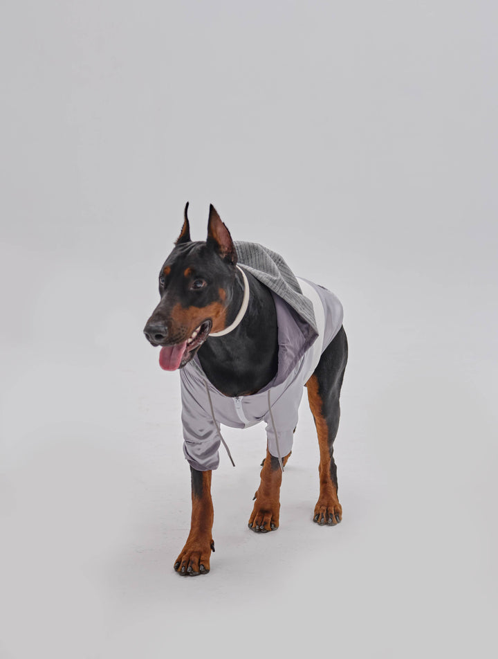 PEHOM - Pet Neoprene Zip Hoodie: M