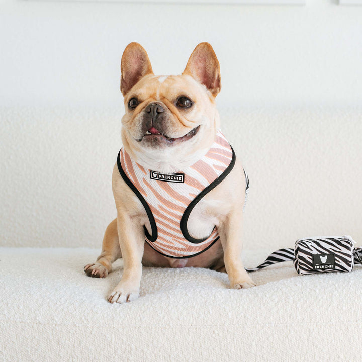Frenchie - Frenchie Duo Reversible Harness - Zebra: Xsmall