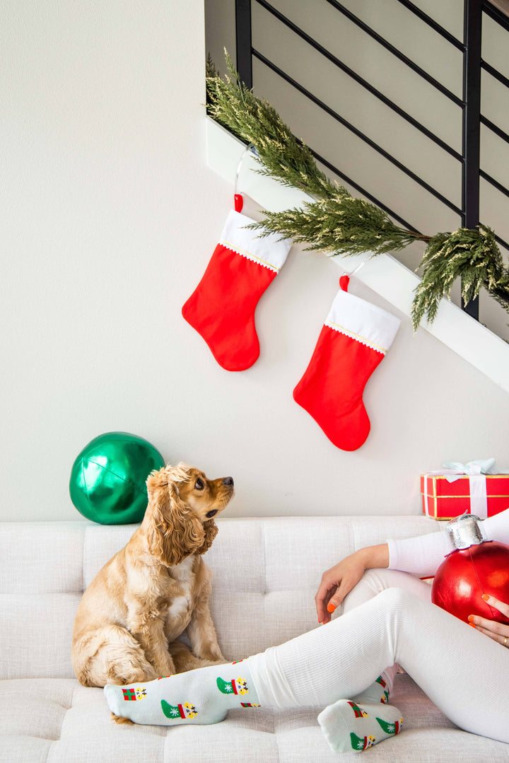 Pet Palette Distribution - Pearhead Corgi Holiday Socks Green One Size