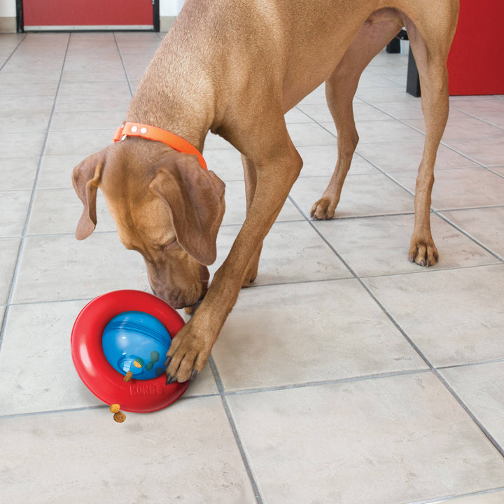 Pet Palette Distribution - KONG® Gyro Dog Enrichment Toy Small