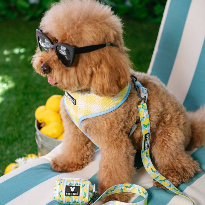 Frenchie - Frenchie Duo Reversible Harness - Lemon Tree: M