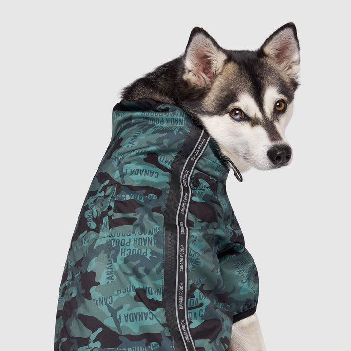 Canada Pooch - The Slush Suit: 18 / Black