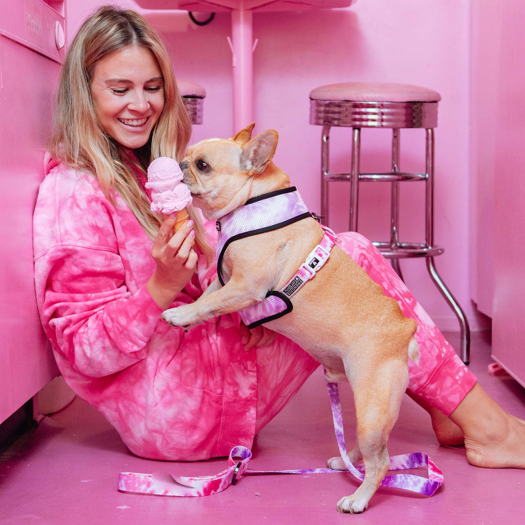 Frenchie - Frenchie Duo Reversible Harness - Pink Tie Dye: L