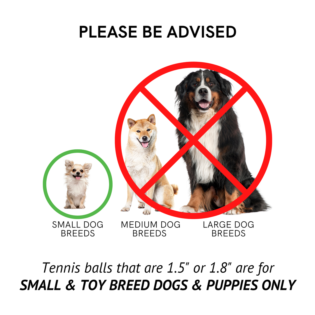 Midlee Designs - Midlee Mini Dog Tennis Balls Bulk 25-Pack (Assorted Colors): Non-Squeaky