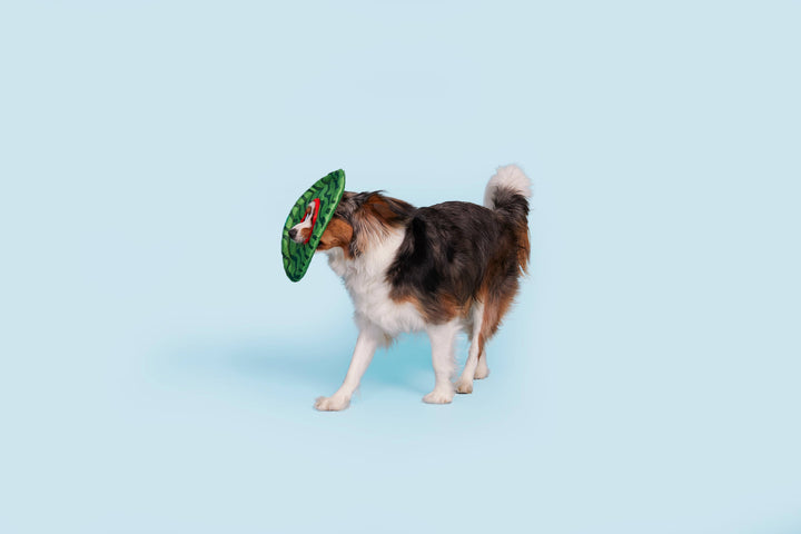 Pet Palette Distribution - BARK Slobbermelon Fetch