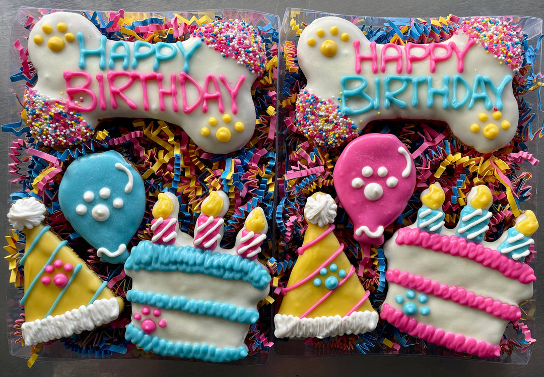 YumYum4DOGS - Happy Fiesta PAWTY Dog Treat (GIFT BOX): Happy birthday