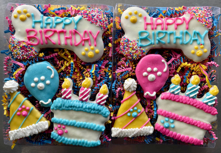 YumYum4DOGS - Happy Fiesta PAWTY Dog Treat (GIFT BOX): Happy birthday