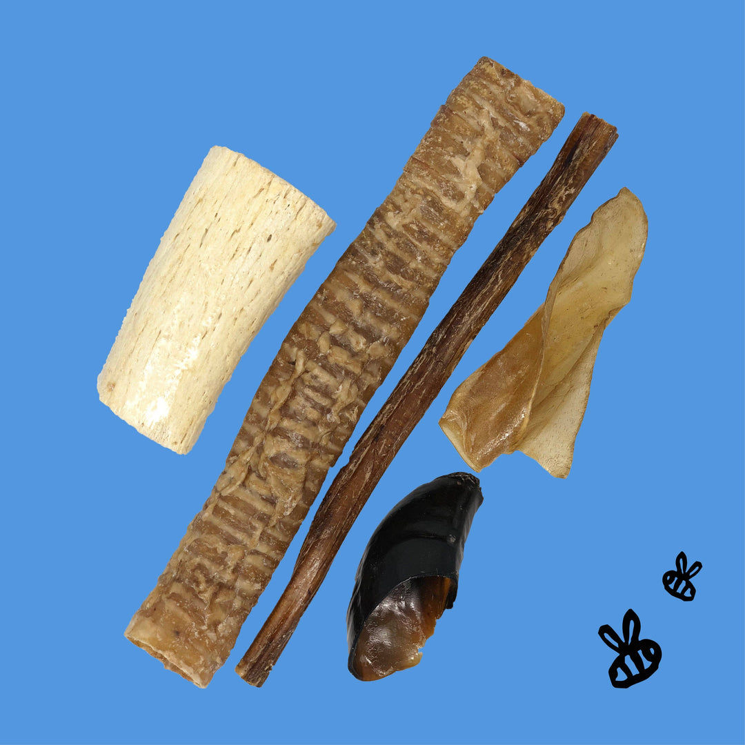Honey I'm Home - MEGA MUNCHER VARIETY PACK