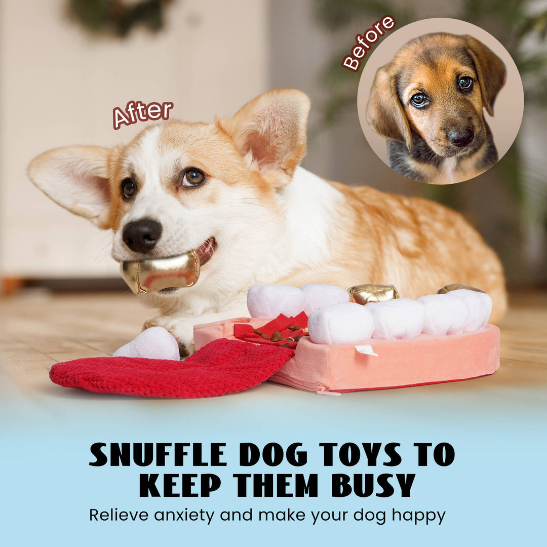 Nocciola - Nocciola Interactive Teeth Dog Toys – Enrichment Puzzle Funny Toys for Small to Large Dogs