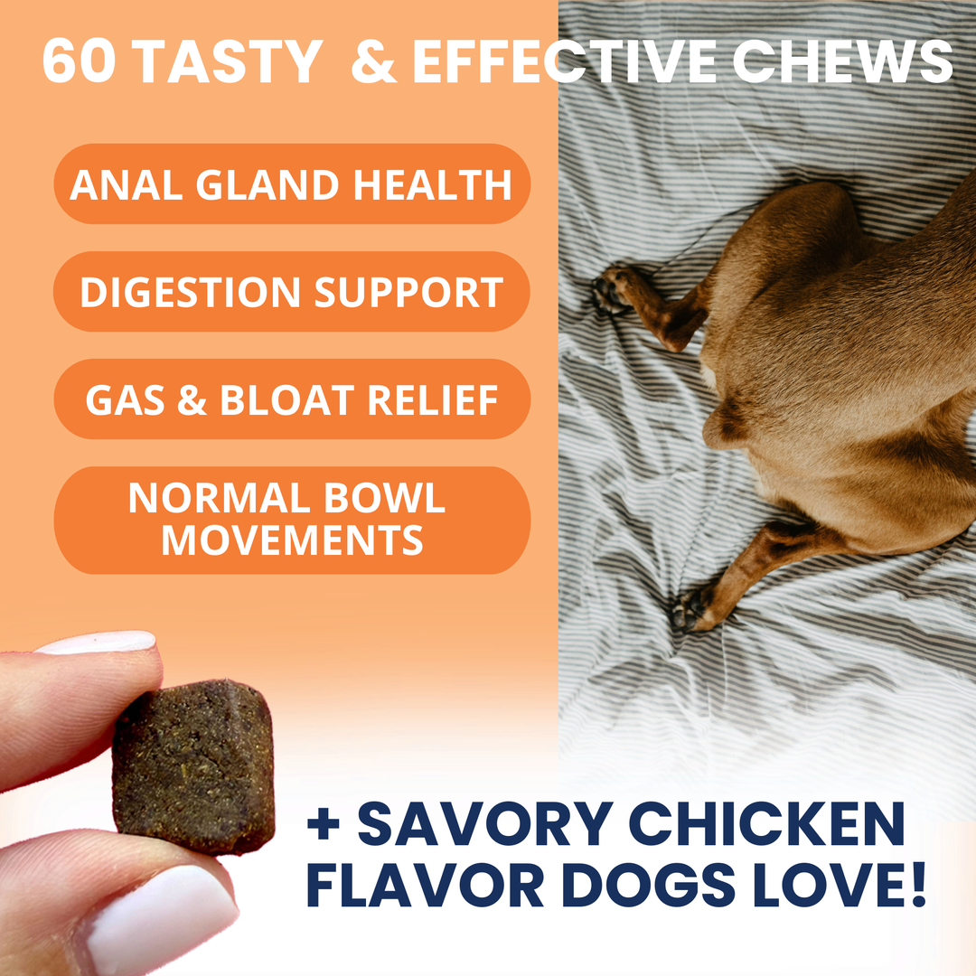 Under the Weather Pet - Scoot Stop Soft Chews for Dogs