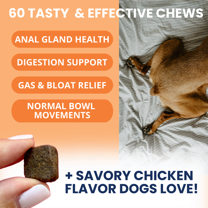 Under the Weather Pet - Scoot Stop Soft Chews for Dogs