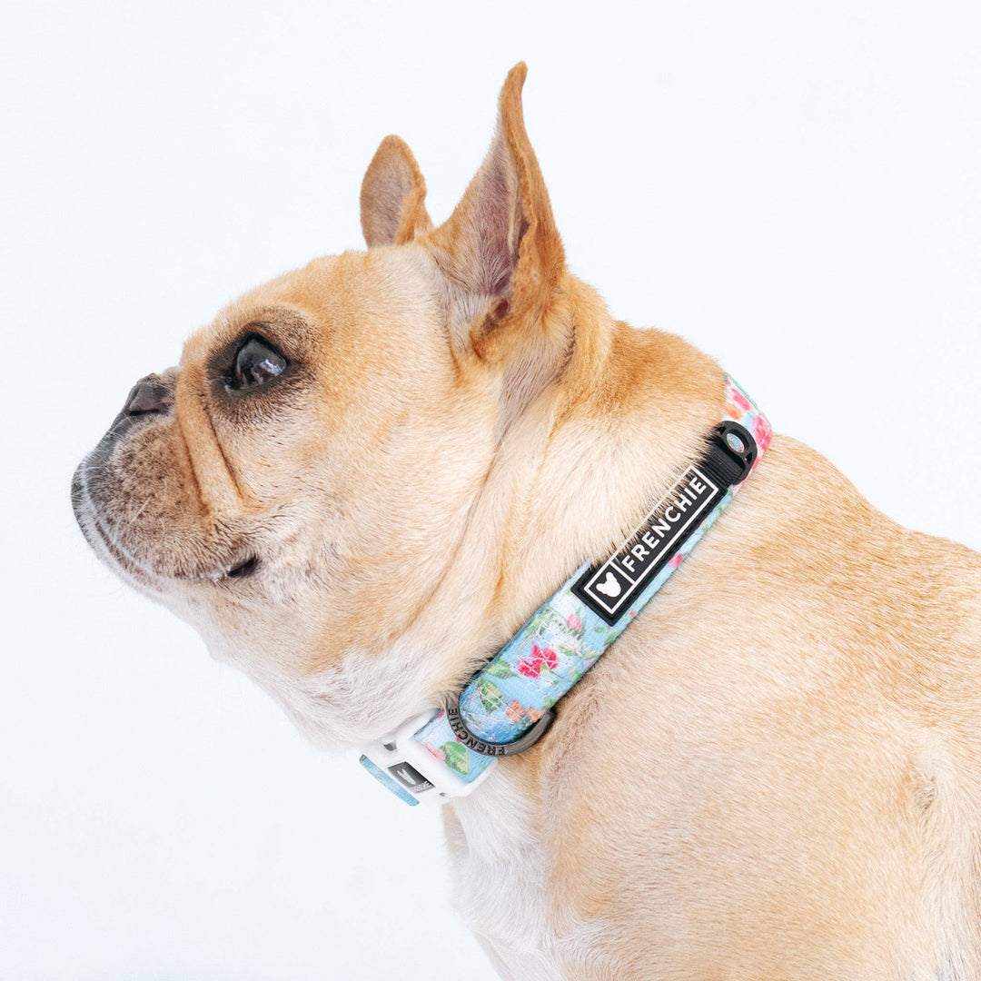 Frenchie - Frenchie Comfort Collar - Secret Garden: OS